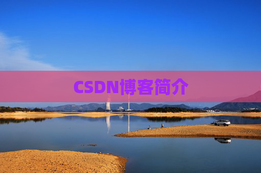 CSDN博客简介